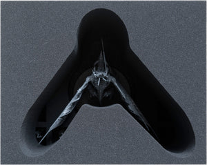 Feldherr Storage Box FSLB310 para los tribunales de los devoradores de carne: Empezar a coleccionar