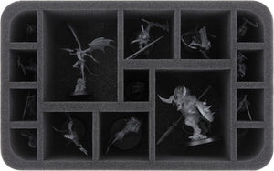 Feldherr GENERAL 370 bolsa con 2x Storage Box FSLB150 + 1x Storage Box FSLB055 para Daemons del Caos: Tzeentch