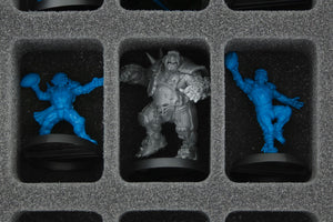 Feldherr MEDIUM bolsa para miniaturas del Blood Bowl - edición 2016