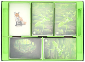Feldherr Organizer Insert for Forest Shuffle + Expansions - core game box